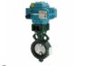 electric valve actuator